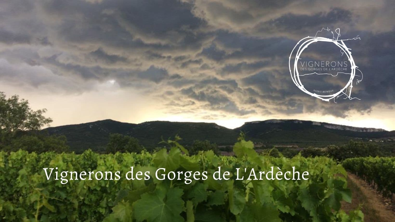 Cave coopérative / Vignerons des Gorges de l'Ardèche - Saint-Remèze et Gras