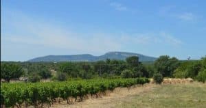 DOMAINE DE BRECHON - DUMARCHER Remy