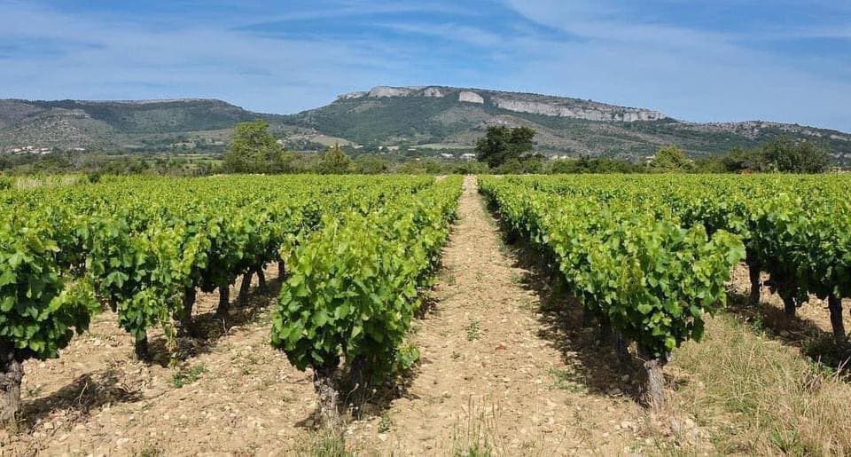 DOMAINE DE MERMES - DUMARCHER Patrice et Séverine