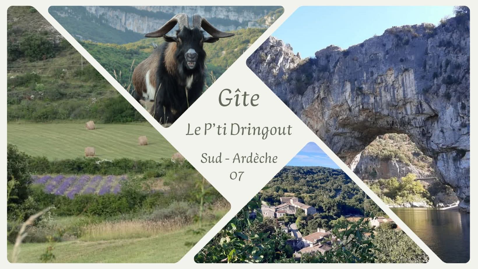 Gîte / Le P'ti Dringout